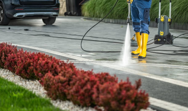 Best Pressure Washing Patio  in Walden, TN