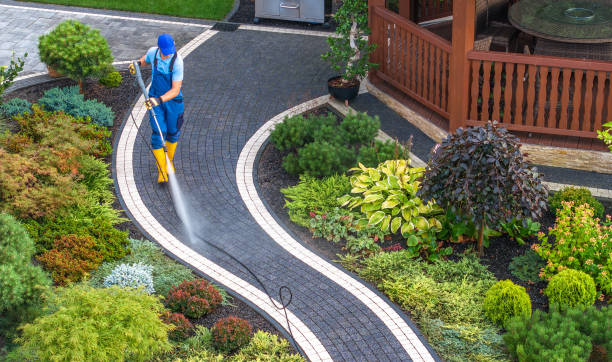 Best Best Pressure Washing Companies  in Walden, TN